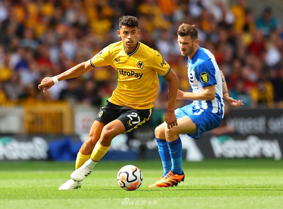 人生轨迹似 人生轨迹似